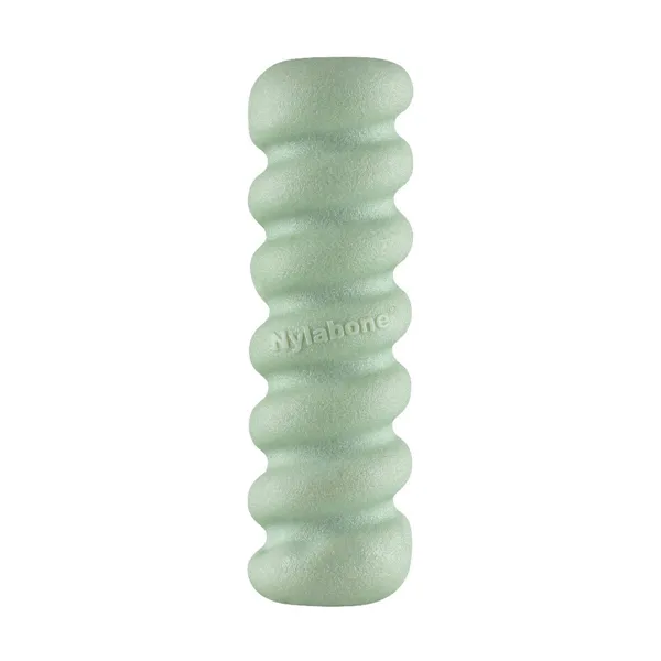 Dog chewing toy Nylabone SENSORY TACTILE STICK Green Peanut butter Bacon S