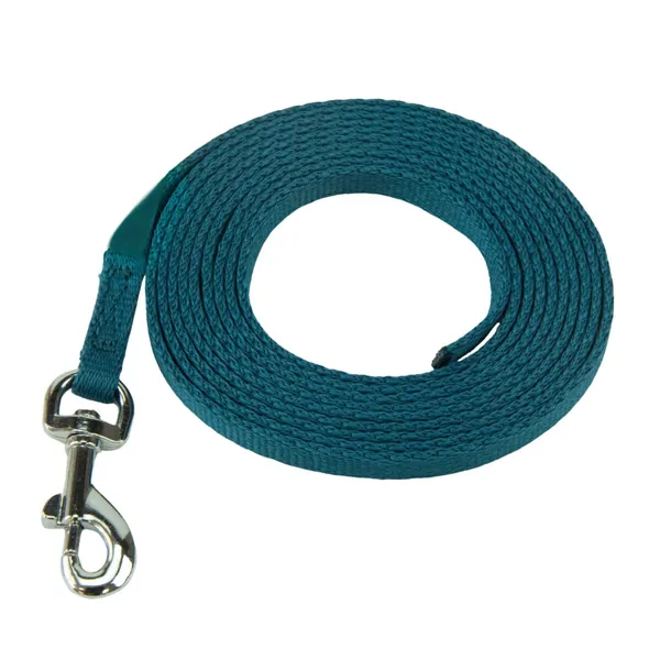 Training lead Coachi Puppy & Mini Green 2,5 m