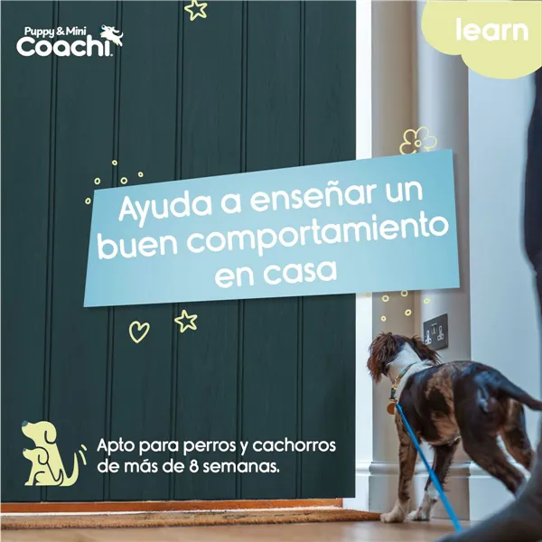 Training lead Coachi Puppy & Mini Green 2,5 m
