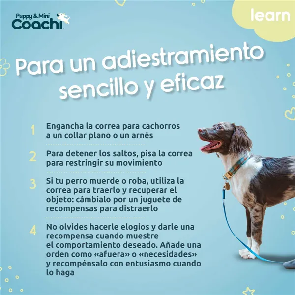 Training lead Coachi Puppy & Mini Green 2,5 m