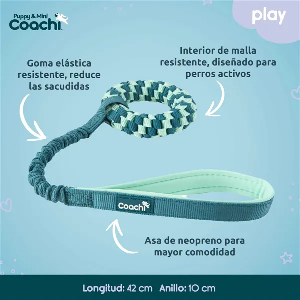 Dog Harness Coachi