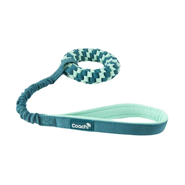 Dog Harness Coachi