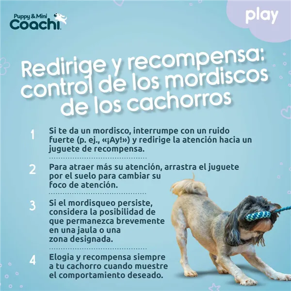 Dog Harness Coachi