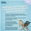 Dog Harness Coachi