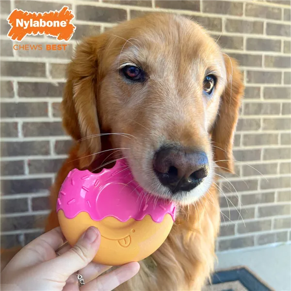 Dog chewing toy Nylabone Pink Bacon L