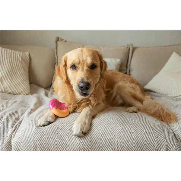 Dog chewing toy Nylabone Pink Bacon L