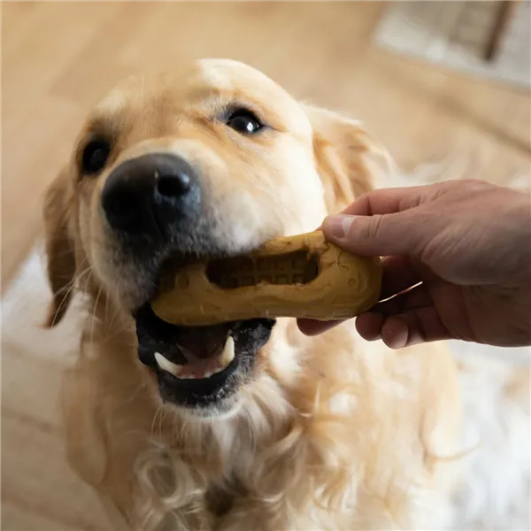 2-In-1 Treat Dispenser Toy for Pets Nylabone
