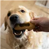 2-In-1 Treat Dispenser Toy for Pets Nylabone