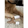 Dog chewing toy Nylabone Brown Peanut butter L