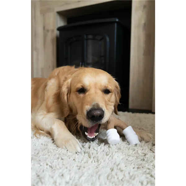 Dog chewing toy Nylabone Brown Peanut butter L