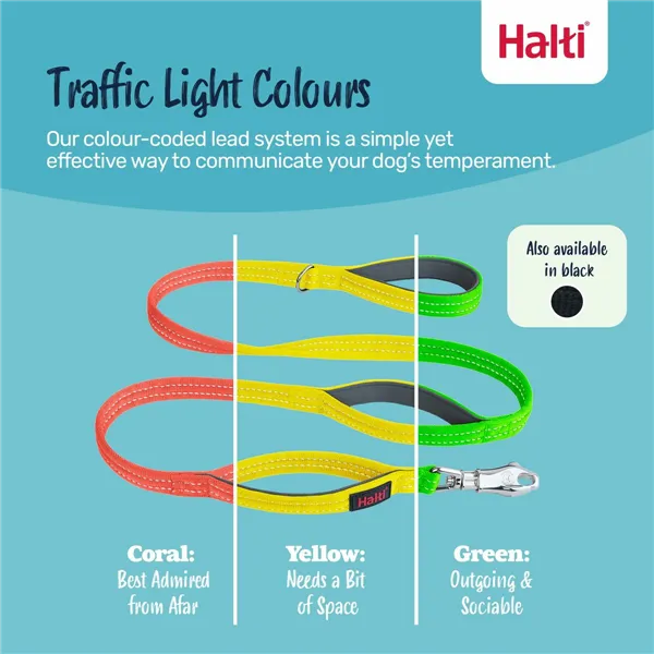 Training lead Company of Animals HALTI BRIG SAFETY Black