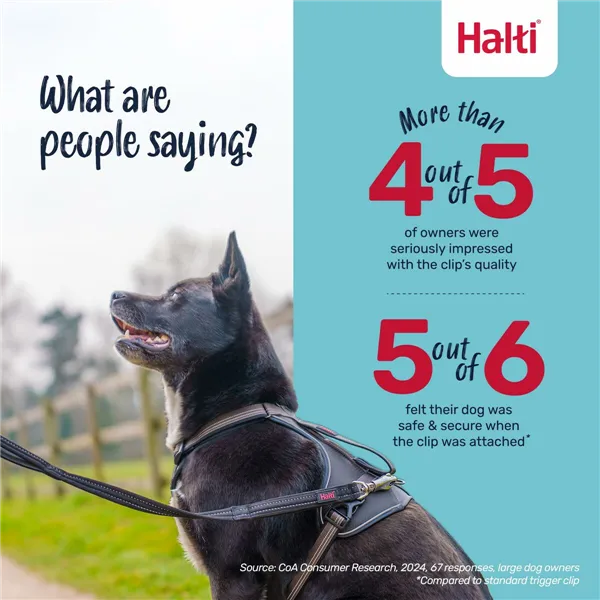 Training lead Company of Animals HALTI BRIG SAFETY Black