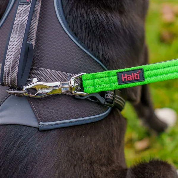 Dog Harness Company of Animals L