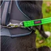 Dog Harness Company of Animals L