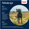 Dog Harness Company of Animals Blue 20