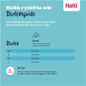 Svečana odjeća za odrasle Sniegbaltīte L M/L (3 Daudzums)