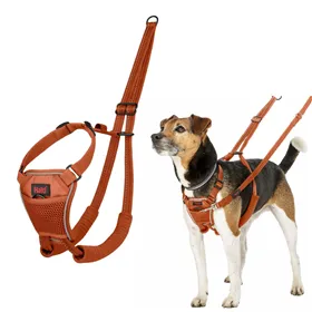 Dog Harness Company of Animals Orange 20