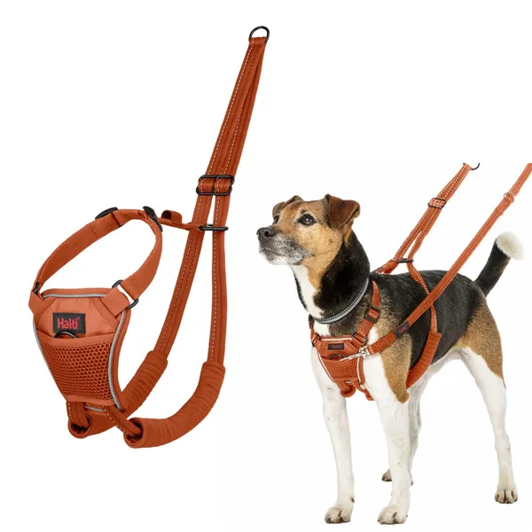 Dog Harness Company of Animals Orange 20
