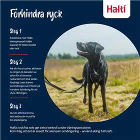 Aikuisten asut Naissalamurhaaja M/L