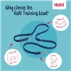 Tracking leash Company of Animals Blue
