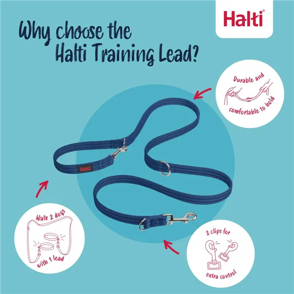 Tracking leash Company of Animals Blue