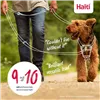 Tracking leash Company of Animals Blue