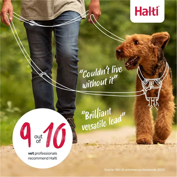 Tracking leash Company of Animals Green