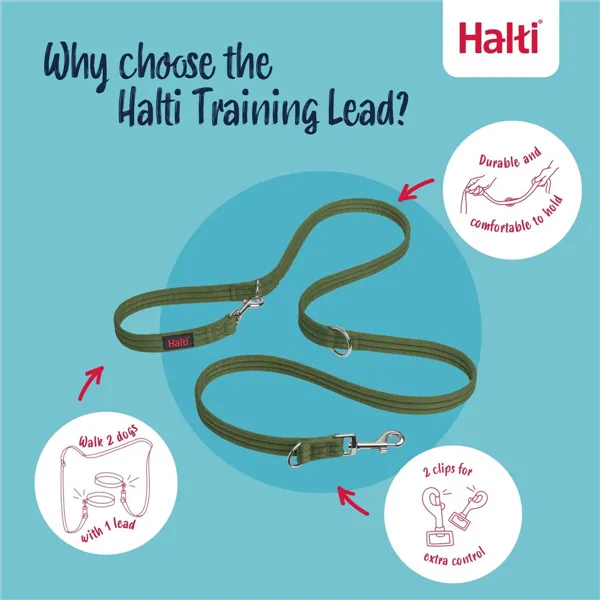 Tracking leash Company of Animals Green