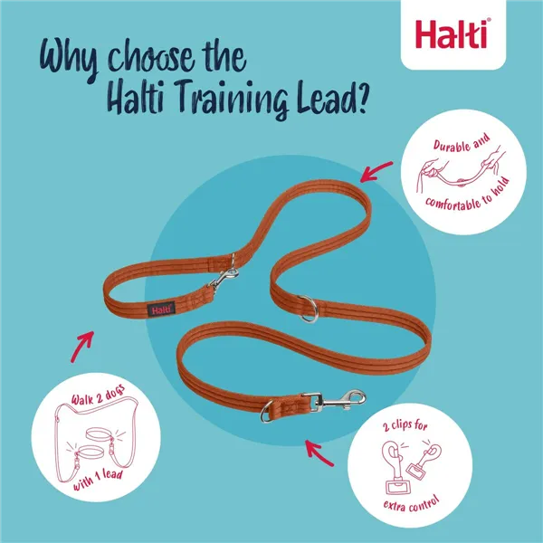 Training lead Company of Animals BURNT Orange