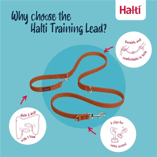 Tracking leash Company of Animals Orange