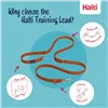 Tracking leash Company of Animals Orange