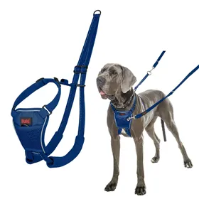 Dog Harness Company of Animals COBALT Blue L