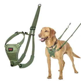 Dog Harness Company of Animals FOREST Green 12