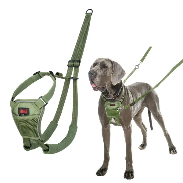 Dog Harness Company of Animals FOREST Green L