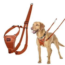 Dog Harness Company of Animals BURNT Orange 12