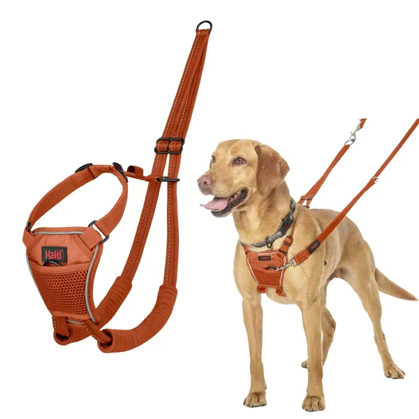 Dog Harness Company of Animals BURNT Orange 12