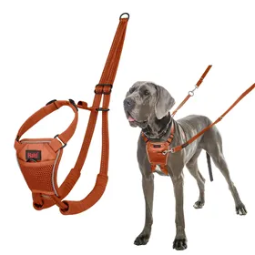 Dog Harness Company of Animals BURNT Orange L