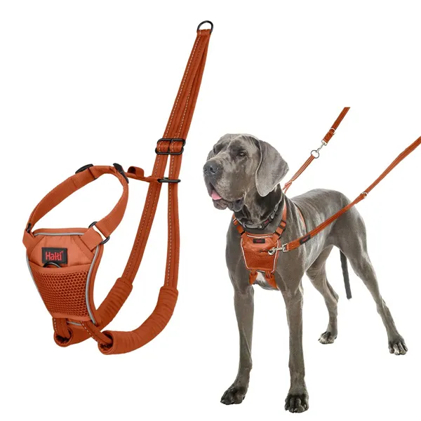 Dog Harness Company of Animals BURNT Orange L