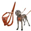 Dog Harness Company of Animals BURNT Orange L