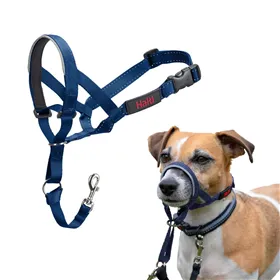 Muzzle Company of Animals COBALT Blue Size 1