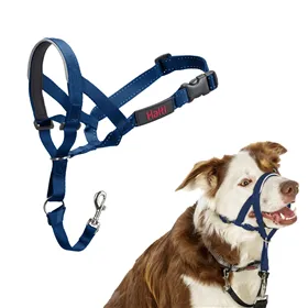 Muzzle Company of Animals COBALT Blue 2