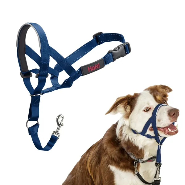 Muzzle Company of Animals COBALT Blue 2
