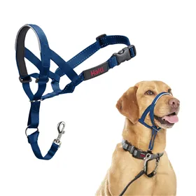 Muzzle Company of Animals COBALT Blue 3