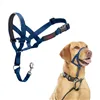 Muzzle Company of Animals COBALT Blue 3
