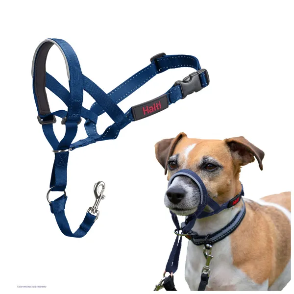 Muzzle Company of Animals COBALT Blue 3