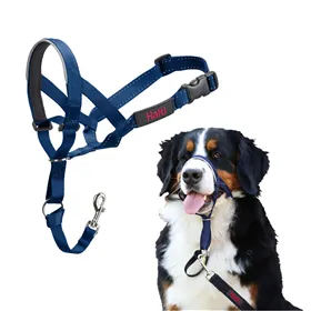 Muzzle Company of Animals COBALT Blue 4