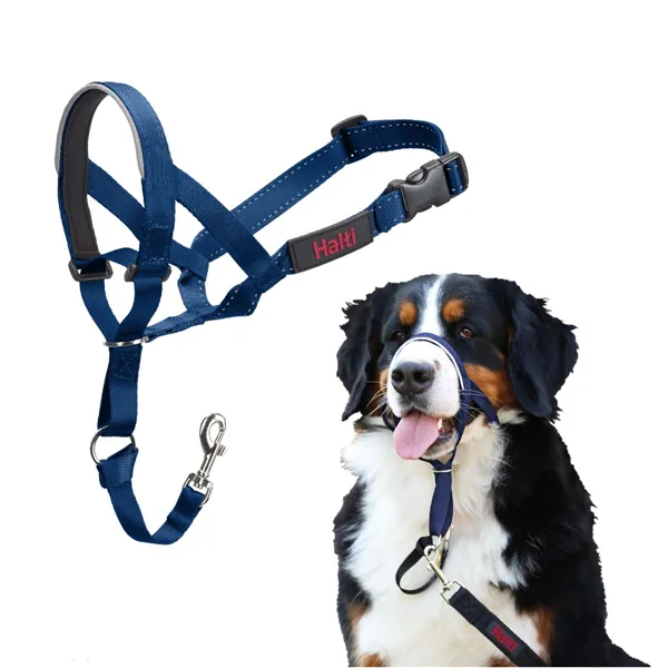 Muzzle Company of Animals COBALT Blue 4