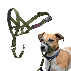 Muzzle Company of Animals FOREST Green Size 1