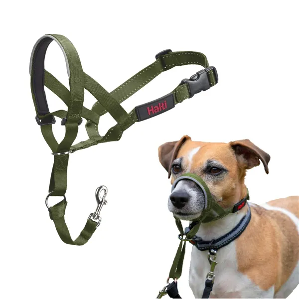 Muzzle Company of Animals FOREST Green Size 1