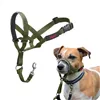 Muzzle Company of Animals FOREST Green Size 1